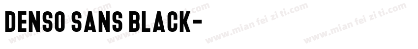 Denso Sans Black字体转换